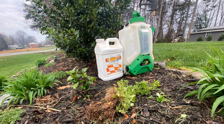 Weed Control